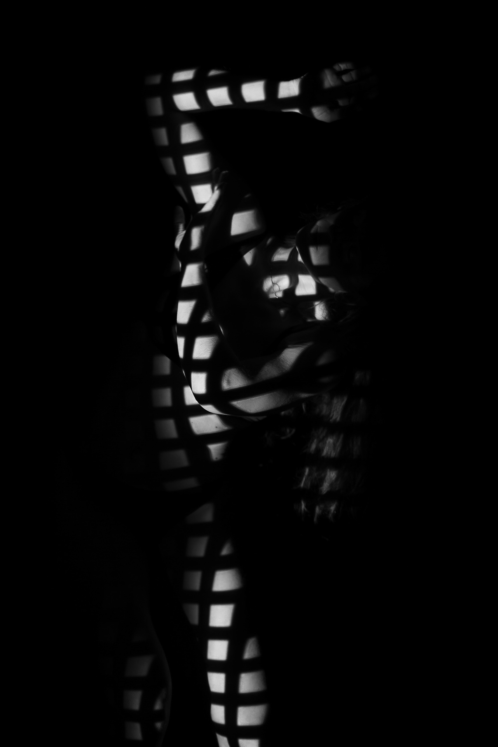 Shadow's light, photo 4