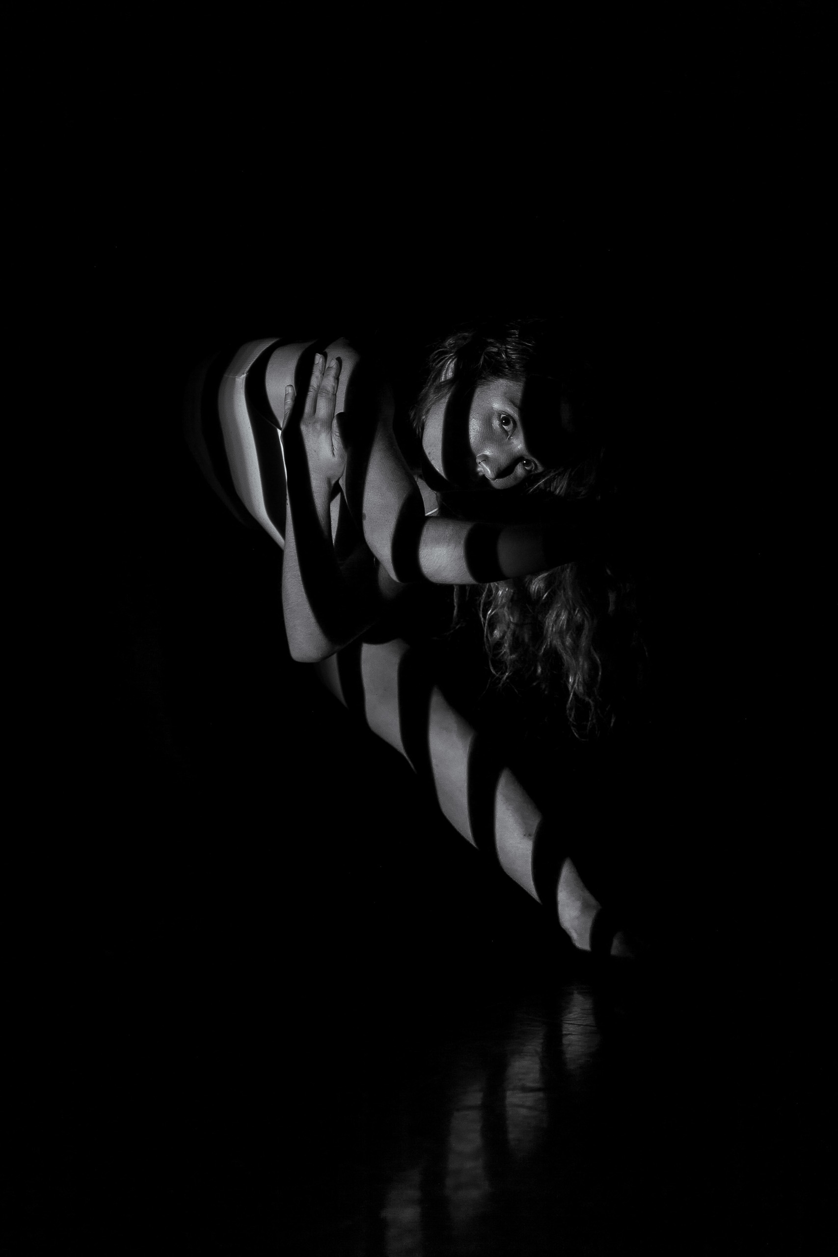 Shadow's light